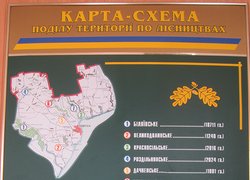 Великодолинське лісове господарство
